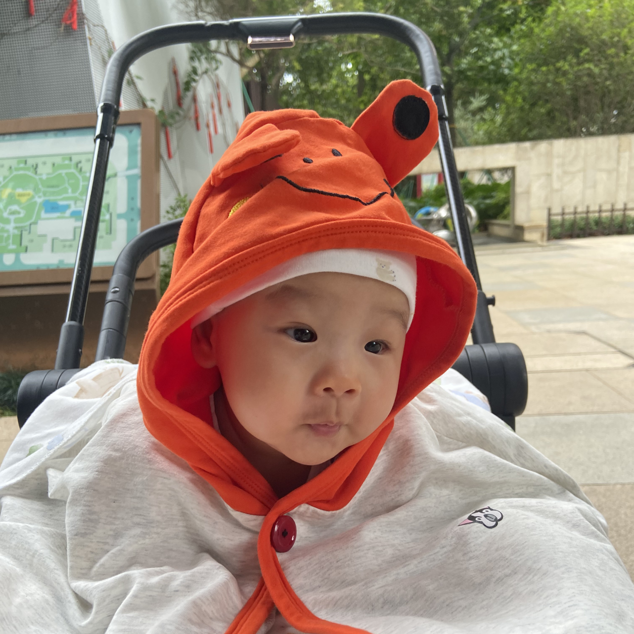 baby_1254 原图