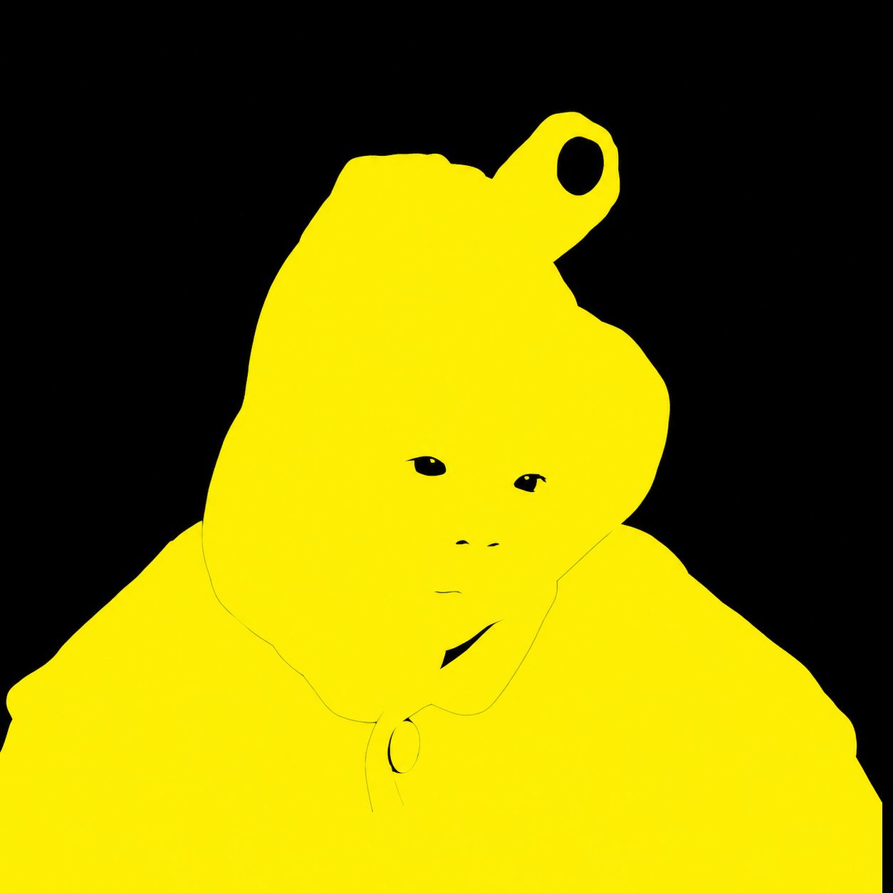baby_1254 对齐后的 RGB mask